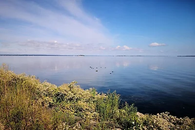 7 Personen Ferienhaus in Stege-By Traum