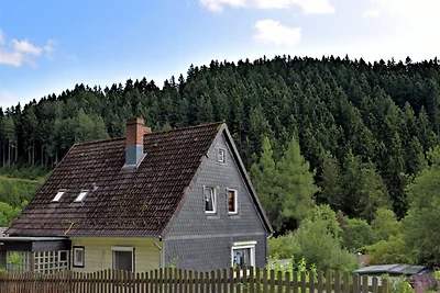 Angenehme Wohnung in Wildemann inmitten des...