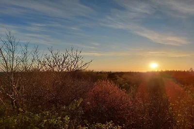 8 persoons vakantie huis in Nørre Nebel