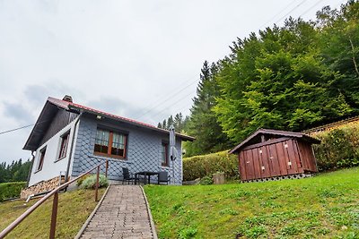 Gemütliches Cottage in Langenbach Thüringen i...