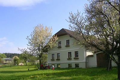 Auf dem Biobauernhof Mayerhofer