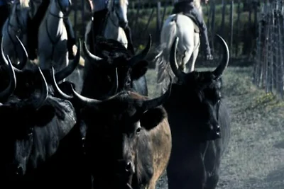 Apartments für 4 Personen