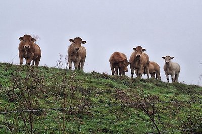 Leuke B&B in een gezellig dorp