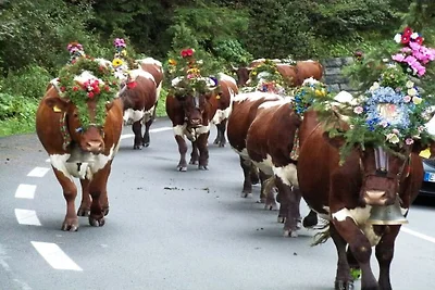 Appartamento per le vacanze con 1 camera da...