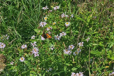 8 Personen Ferienhaus in Rømø