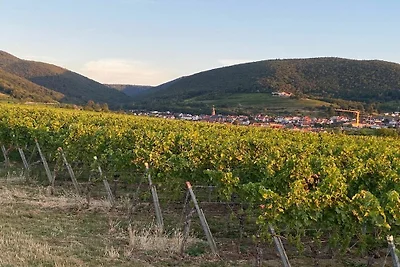 Kuća za odmor Dopust za oporavak Maikammer