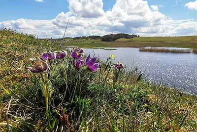 4 stelle case ad Gedsted-By Traum