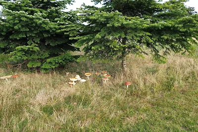 8 persone case ad Væggerløse