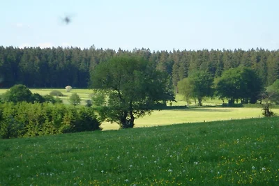 In de regio (zomer) (>5 km) In de regio (zomer) (>5 km)