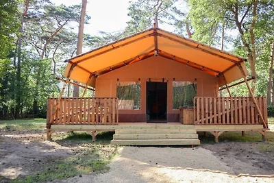 Ferienhaus in Otterlo mit Terrasse