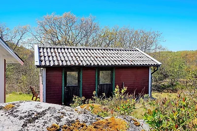 Magisches Kustenrefugium auf Tjorn-By Traum