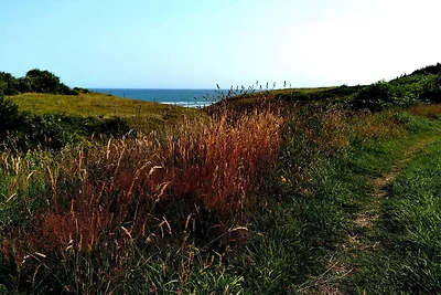 4 Personen Ferienhaus in Hanstholm-By Traum