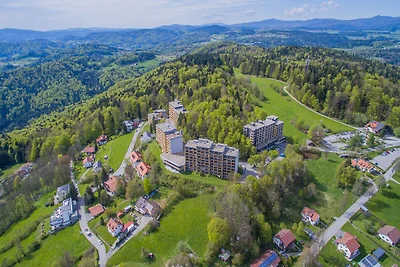 Studio Robert mit Pool und Sauna