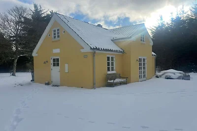 5 Sterne Ferienhaus in Skagen