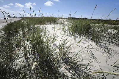 4 sterren vakantie huis in Skagen