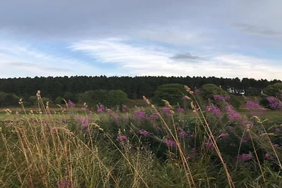 Terrassen-Retreat in Winterberg