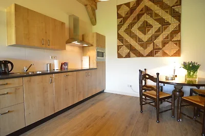Gemütliches Bauernhaus in Geesteren mit...