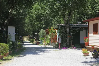 Mobilheim im Caravanpark Marina in Sarzana