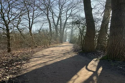 Omgeving (zomer) (1-5 km) Omgeving (zomer) (1-5 km)