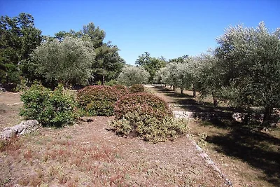 La Bergerie de l'Aspe