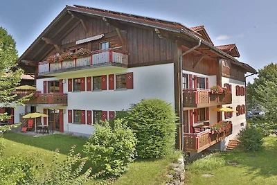 Alpenstern Finy  (xl)