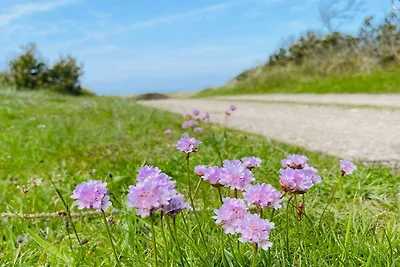 Rifugio appartato a Thorup -- By Traum...