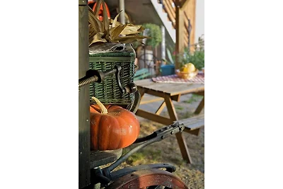 Studio in Morschwiller
