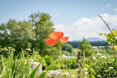 Kuća za odmor Dopust za oporavak Bad Endorf Chiemgau