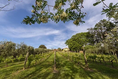 Ferienhaus Erholungsurlaub Pisa