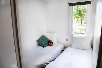 Schönes Chalet mit Klimaanlage, am Drents-Fri...