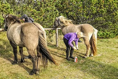 6 Personen Ferienpark haus in Pandrup