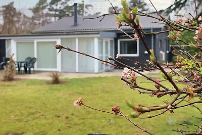 4 stelle case ad Væggerløse-By Traum