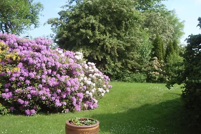 Ferienhaus in Ulsnis mit Schwimmbecken