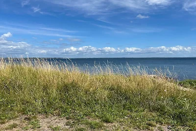 Luxurioses Refugium im Rorvig Park-By Traum
