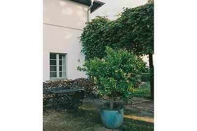 Appartamento per le vacanze a Werder
