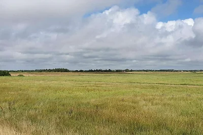6 Personen Ferienhaus in Blåvand-By Traum