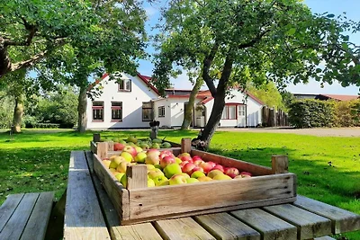 Ferienwohnung mit 1 Schlafzimmer