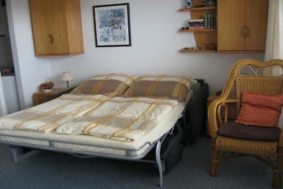 Appartement de vacances avec 1 chambre
