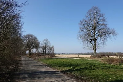 Vakantiehuis bij Bemelerberg Natuurgebied