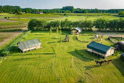 Safari Lodge auf gemütlichem Gelände mit 3...