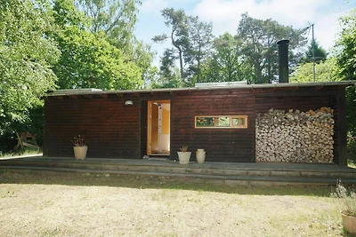 4 Personen Ferienhaus in Tisvildeleje