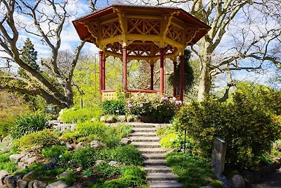 4 sterren vakantie huis in VISBY