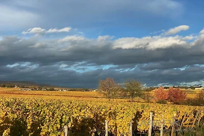Ruby - Weingut werk2