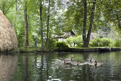 Ferienhaus Erholungsurlaub Lübben