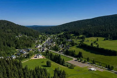 Alte Försterei Wildenthal  - App 5