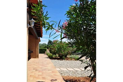Ferienhaus in Cotignac mit Schwimmbecken