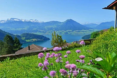 Holiday home in Vitznau with swimming pool