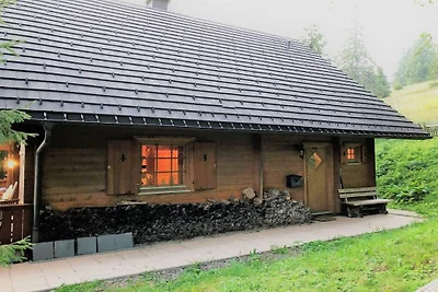 Ferienhaus in Feldberg mit Schwimmbecken