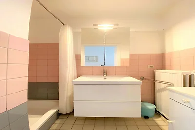 Appartement in Nieuwpoort gelegen met zicht o...