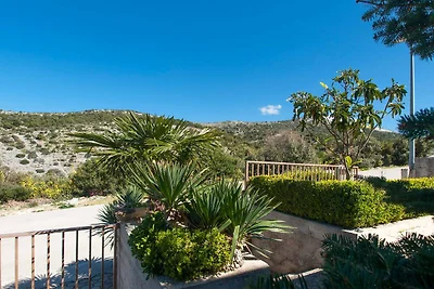 Apartment in Dalmatien mit Gartenblick